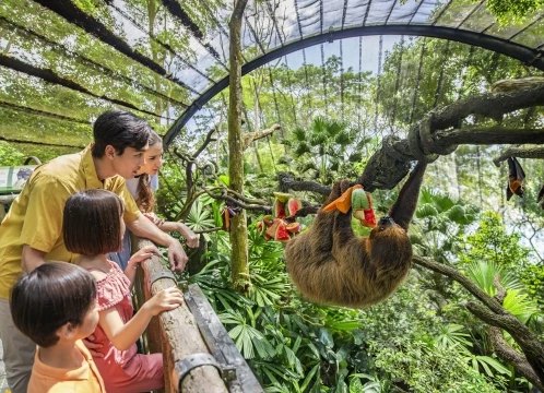 世界でも珍しい 柵のない動物園「シンガポール動物園」